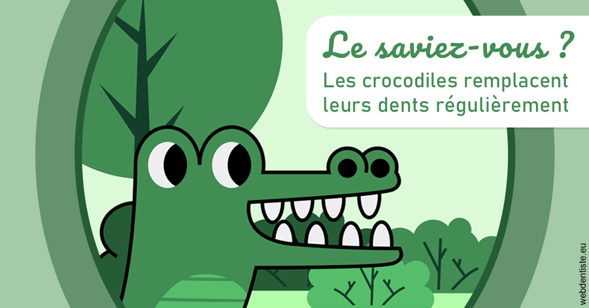 https://dr-hulot-jean.chirurgiens-dentistes.fr/Crocodiles 2
